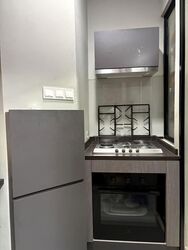 Tanglin View (D3), Condominium #588035251